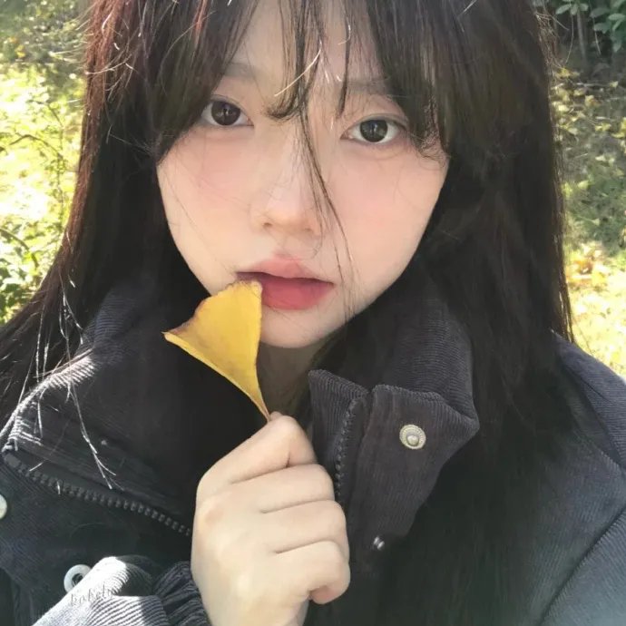 微风吹乱的爱情